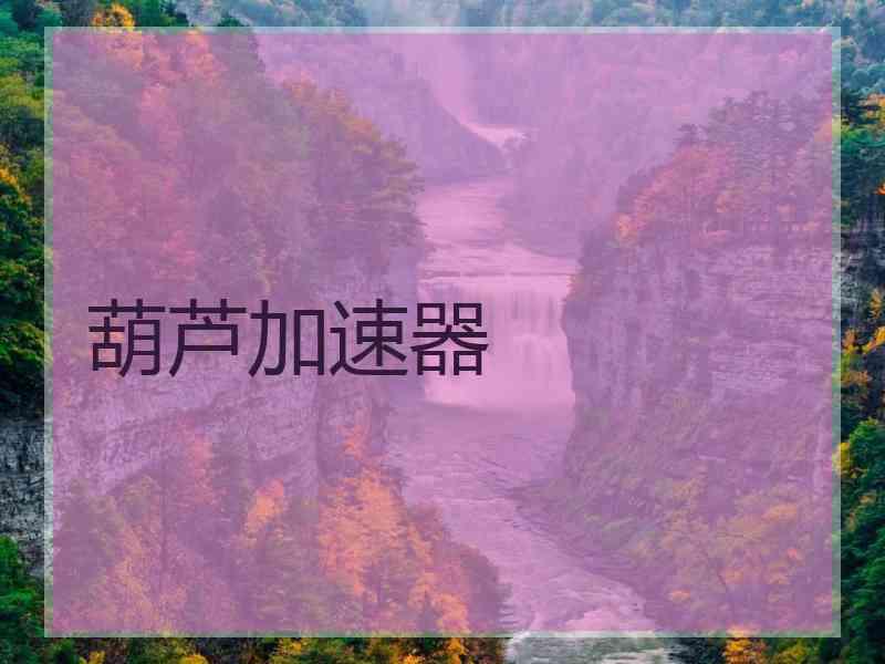 葫芦加速器