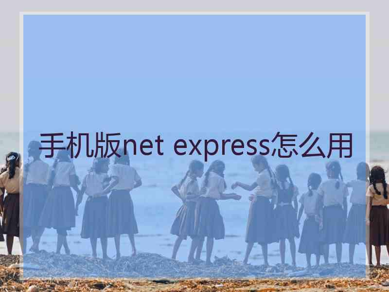 手机版net express怎么用