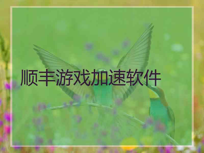 顺丰游戏加速软件