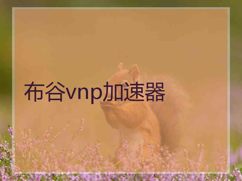 布谷vnp加速器