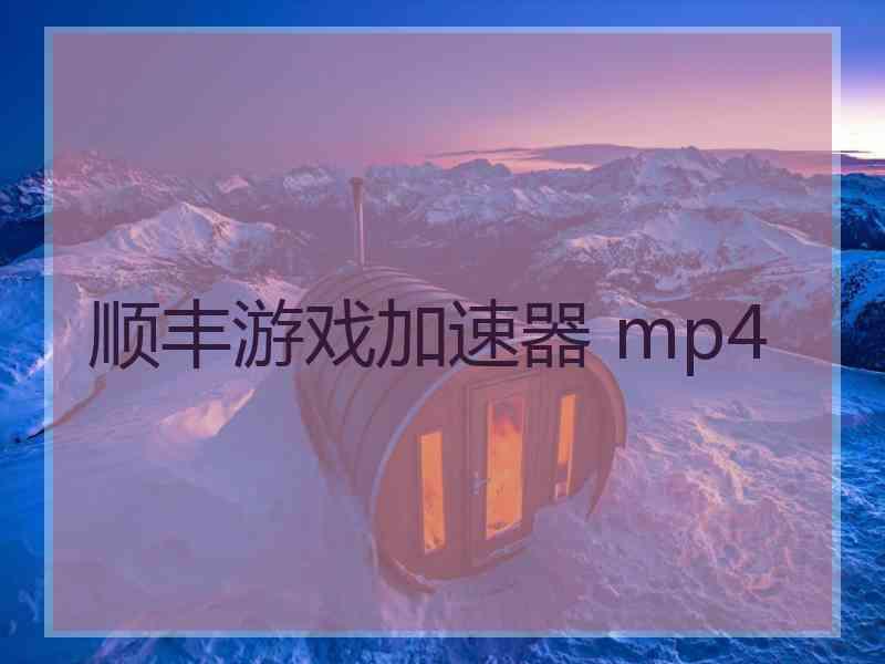 顺丰游戏加速器 mp4