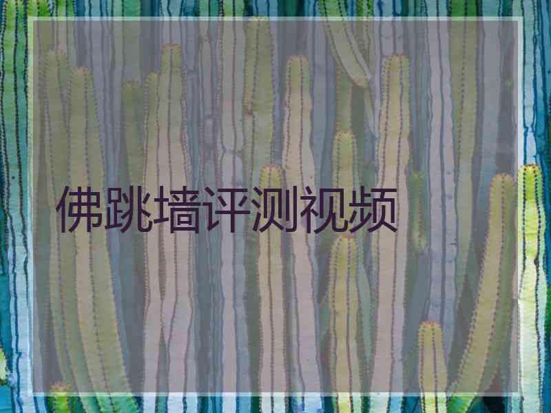 佛跳墙评测视频