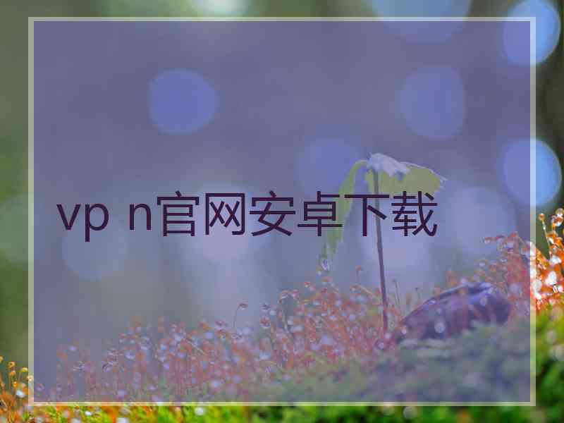 vp n官网安卓下载