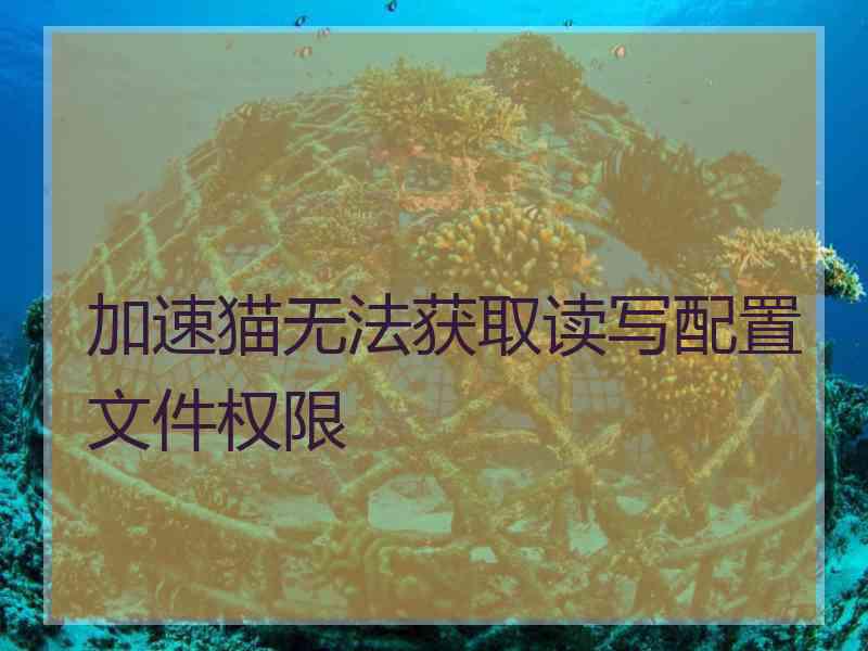 加速猫无法获取读写配置文件权限