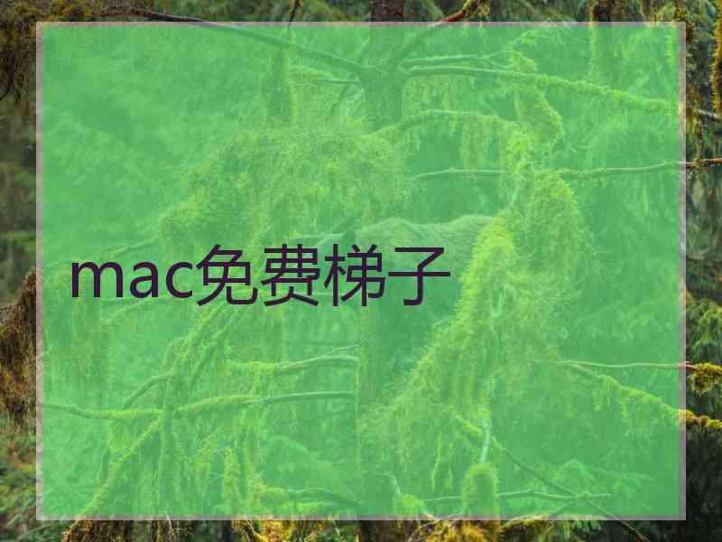 mac免费梯子