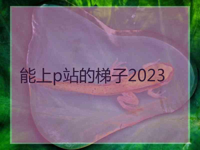 能上p站的梯子2023