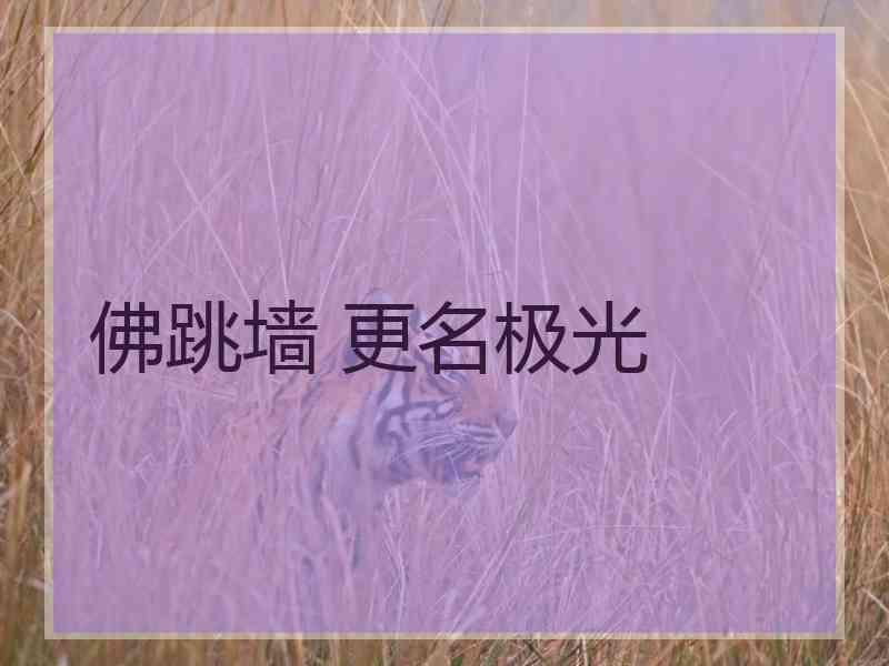 佛跳墙 更名极光