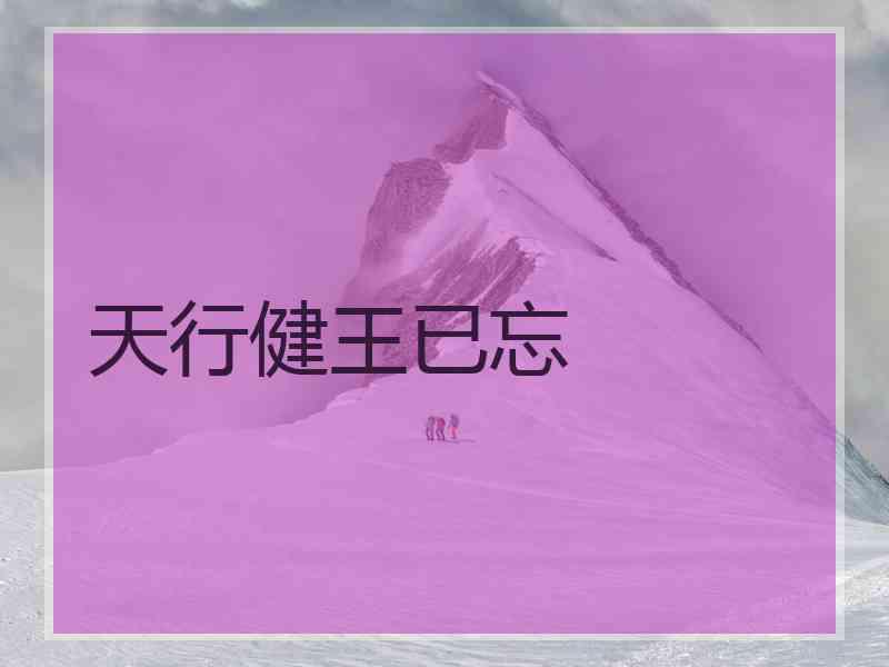 天行健王已忘