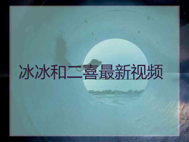 冰冰和二喜最新视频