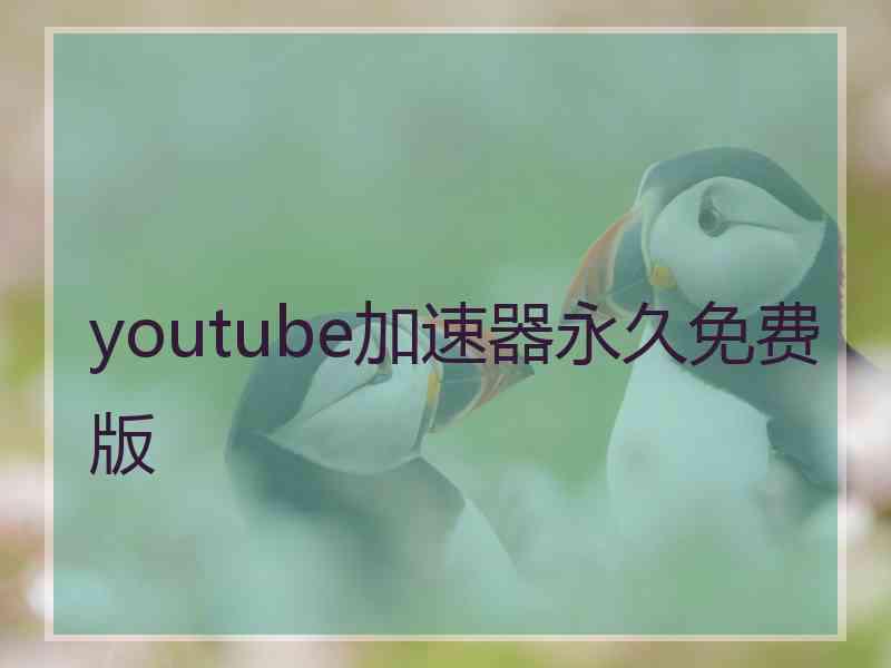 youtube加速器永久免费版