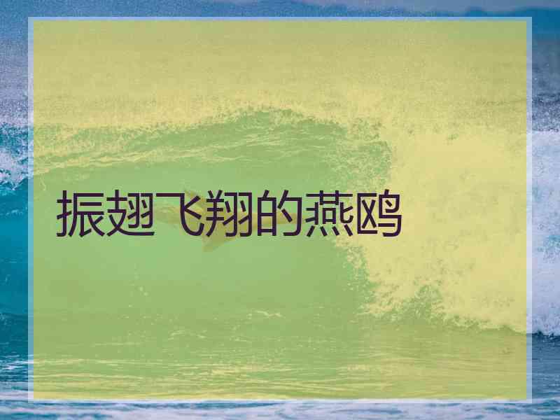 振翅飞翔的燕鸥