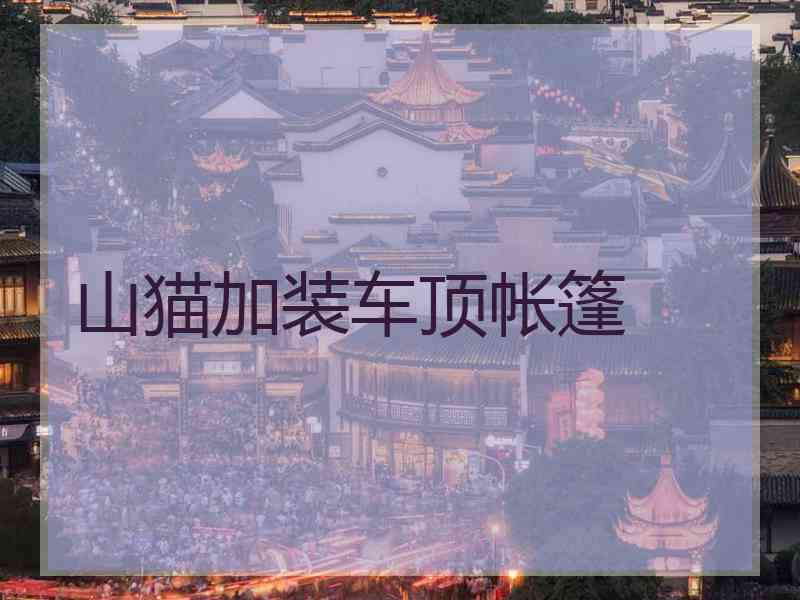 山猫加装车顶帐篷