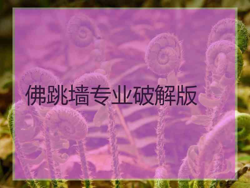 佛跳墙专业破解版