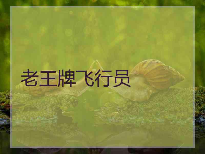 老王牌飞行员