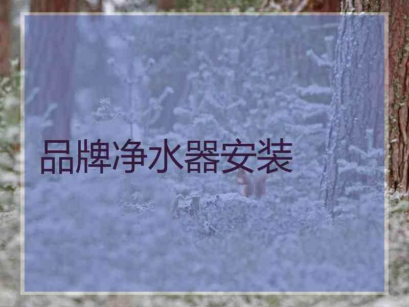 品牌净水器安装