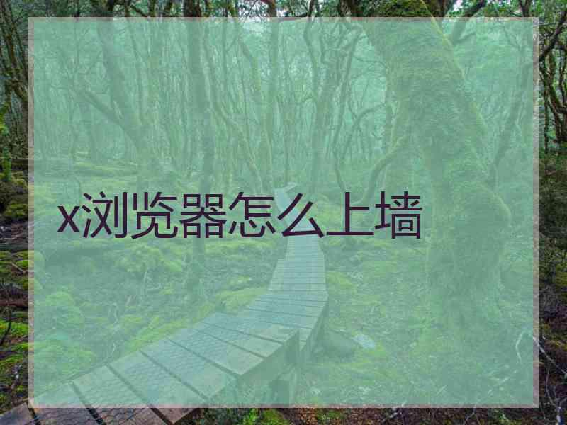 x浏览器怎么上墙