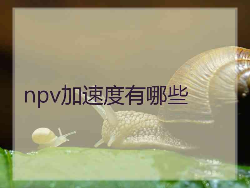 npv加速度有哪些