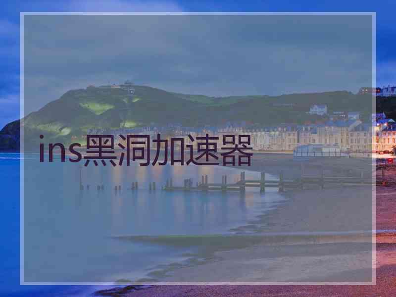 ins黑洞加速器