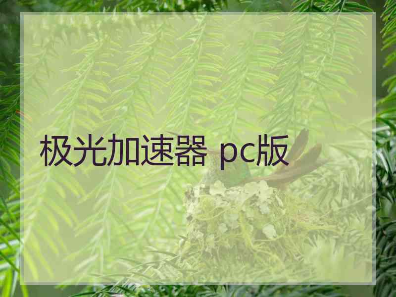 极光加速器 pc版