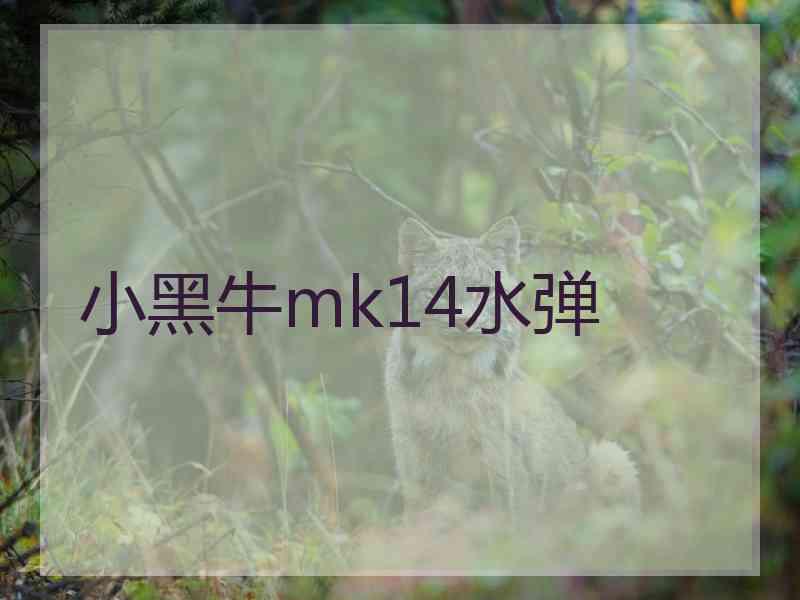 小黑牛mk14水弹