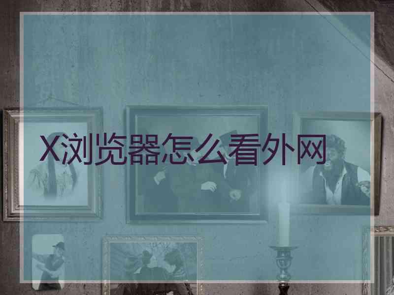 X浏览器怎么看外网