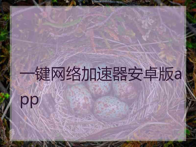 一键网络加速器安卓版app