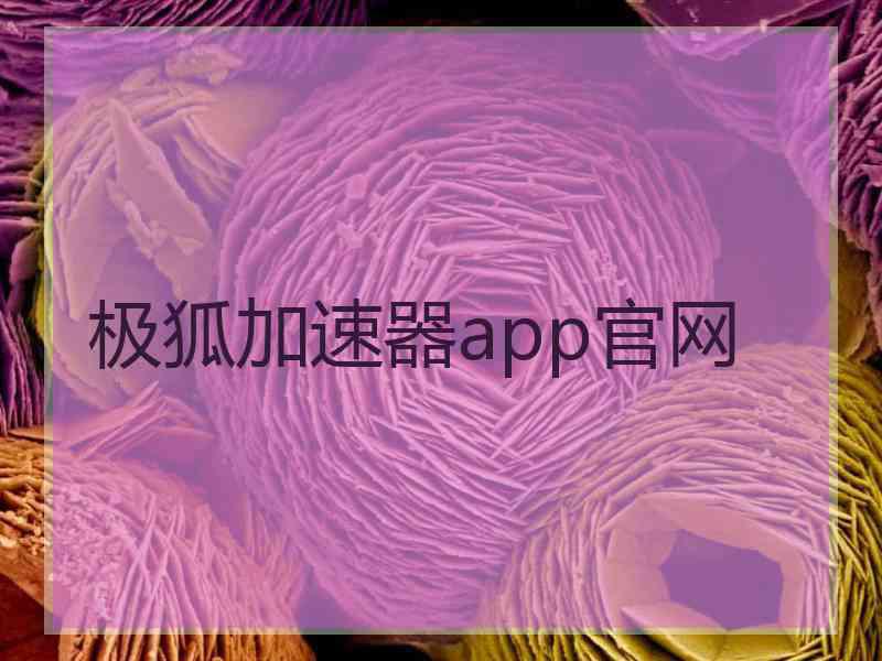 极狐加速器app官网