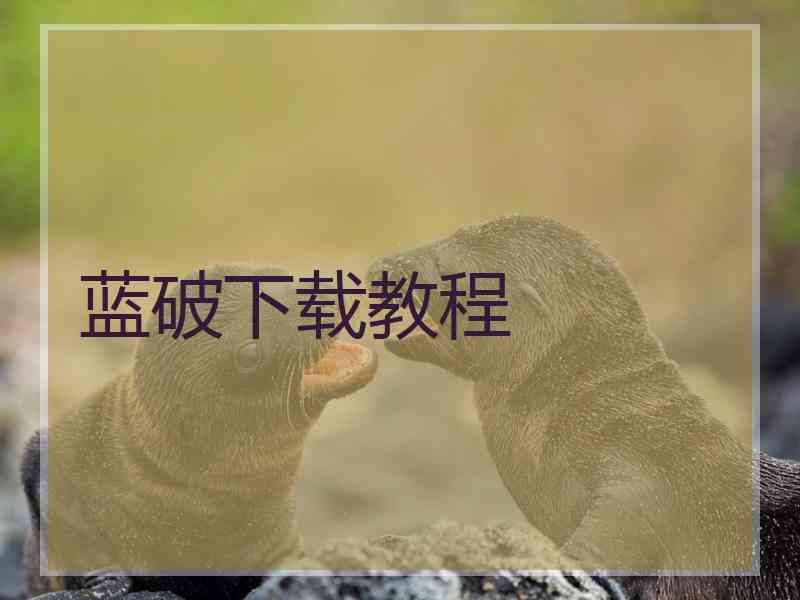 蓝破下载教程