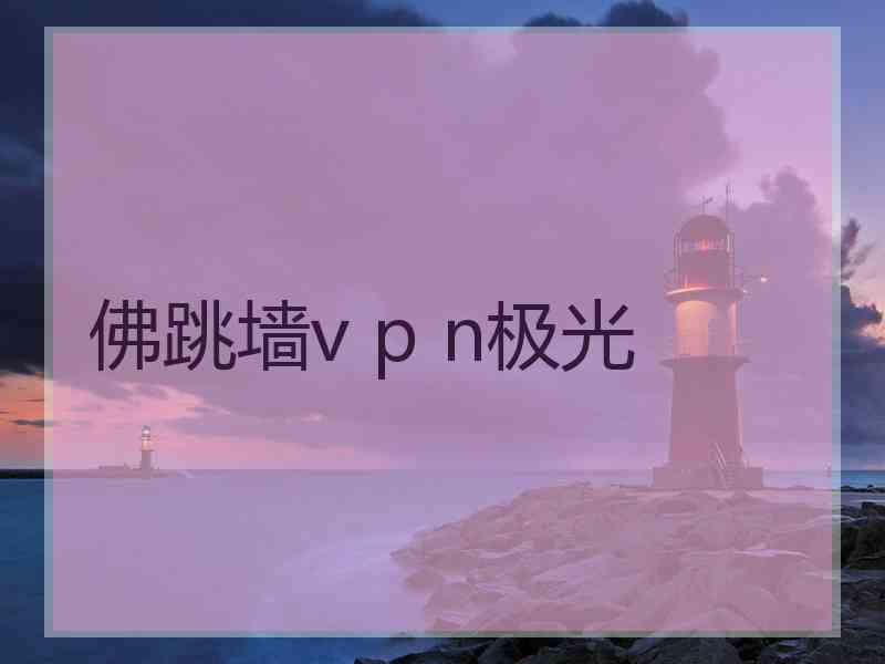 佛跳墙v p n极光