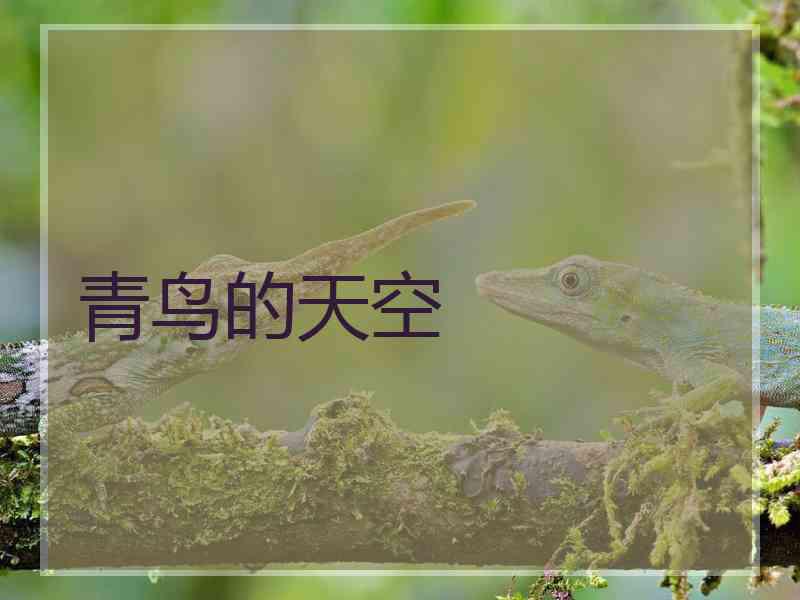 青鸟的天空