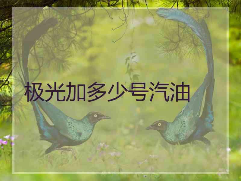极光加多少号汽油
