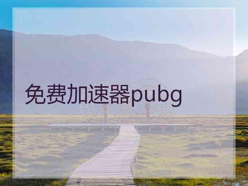 免费加速器pubg