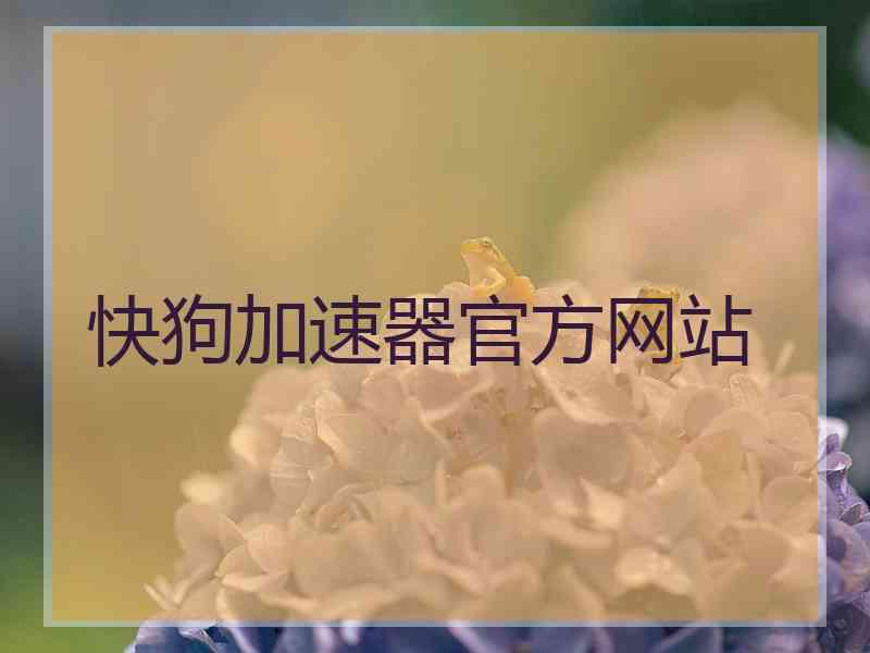 快狗加速器官方网站