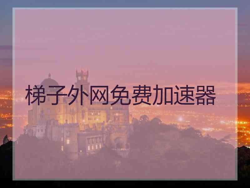 梯子外网免费加速器