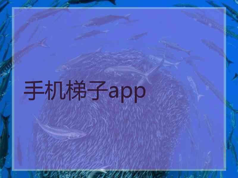 手机梯子app