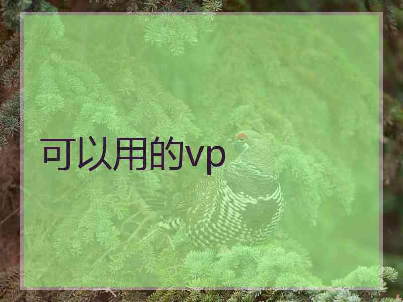 可以用的vp