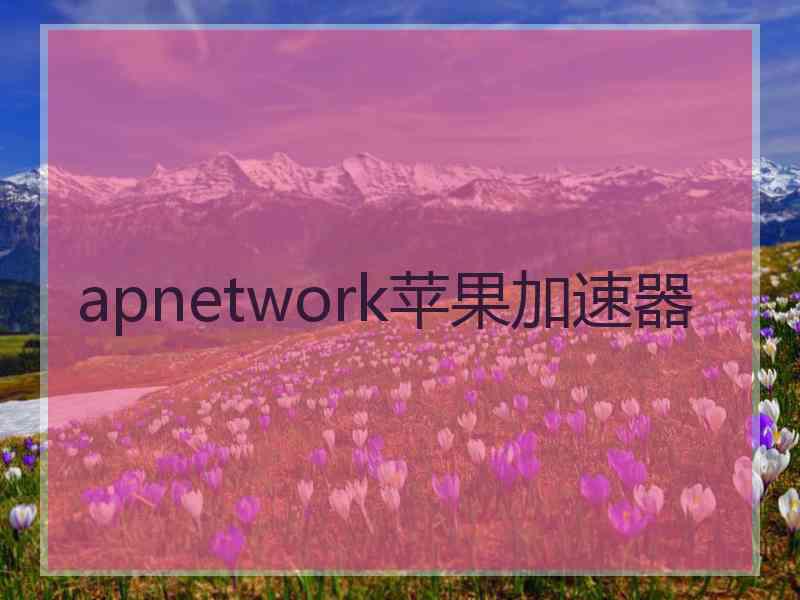 apnetwork苹果加速器