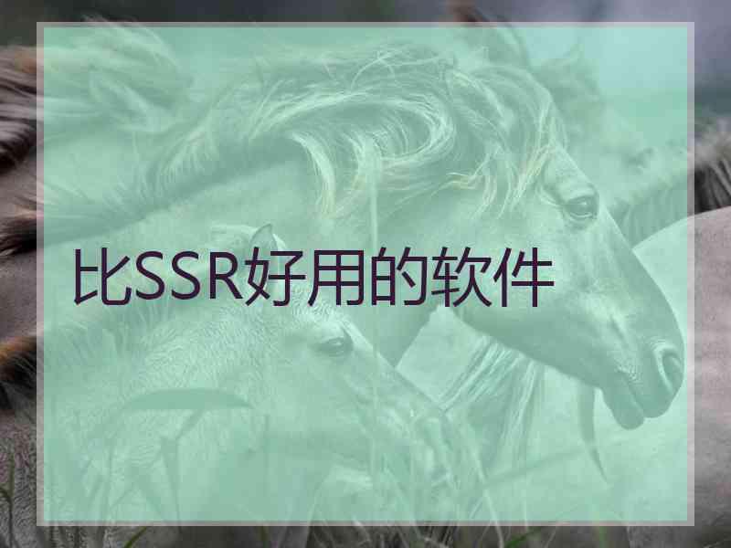 比SSR好用的软件