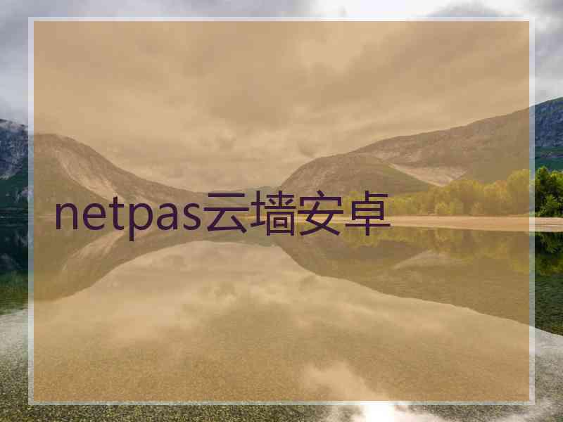 netpas云墙安卓