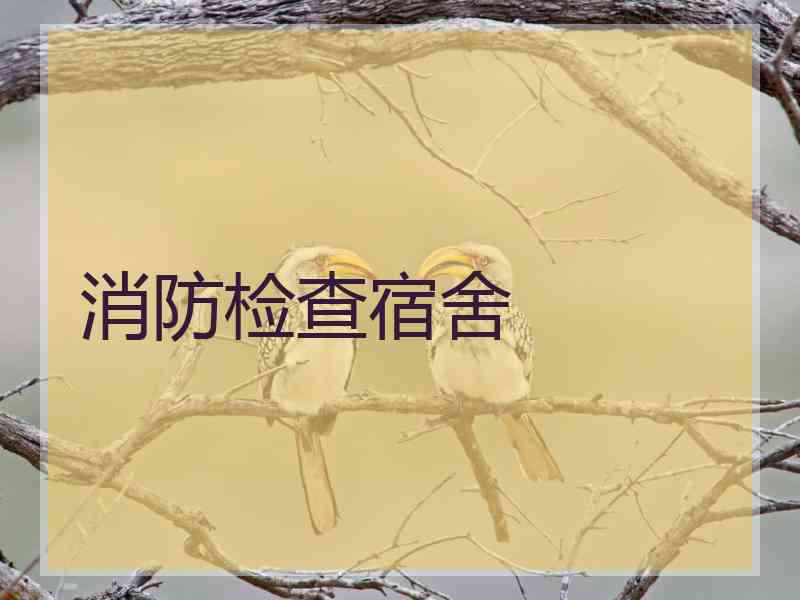 消防检查宿舍