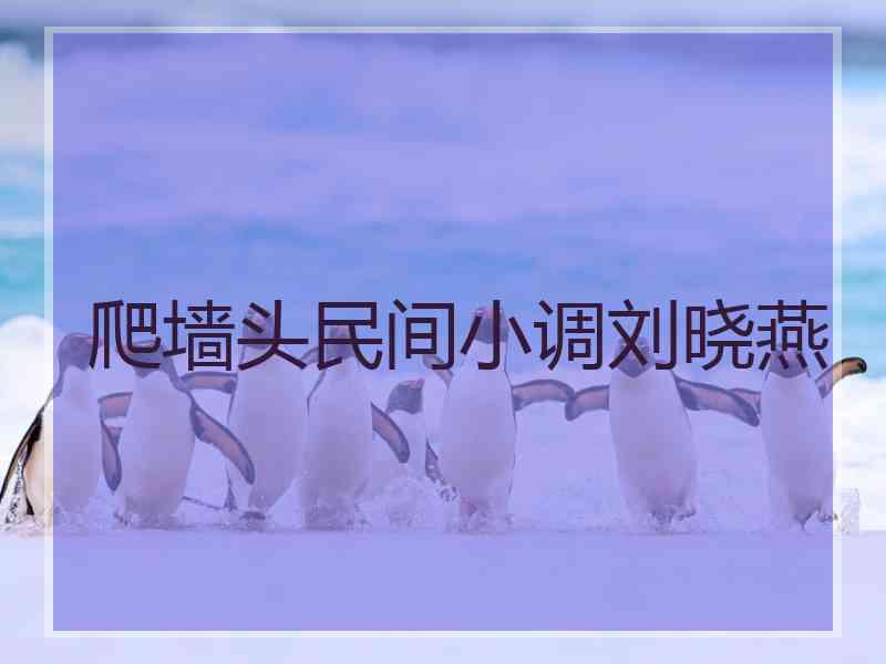 爬墙头民间小调刘晓燕