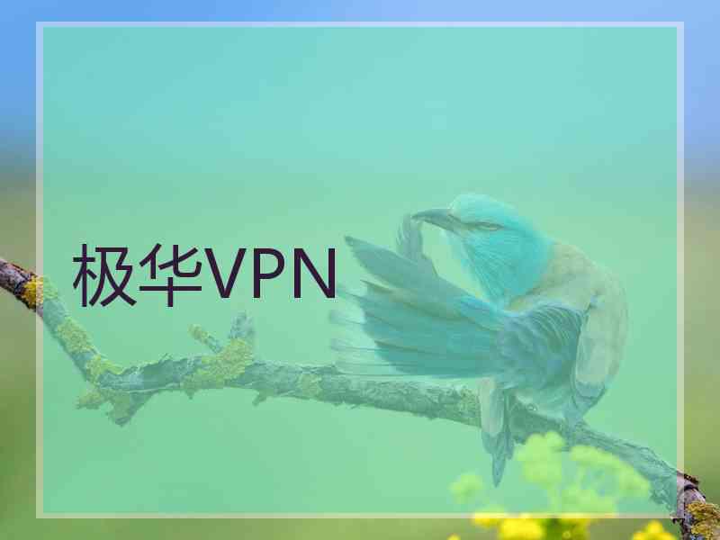 极华VPN