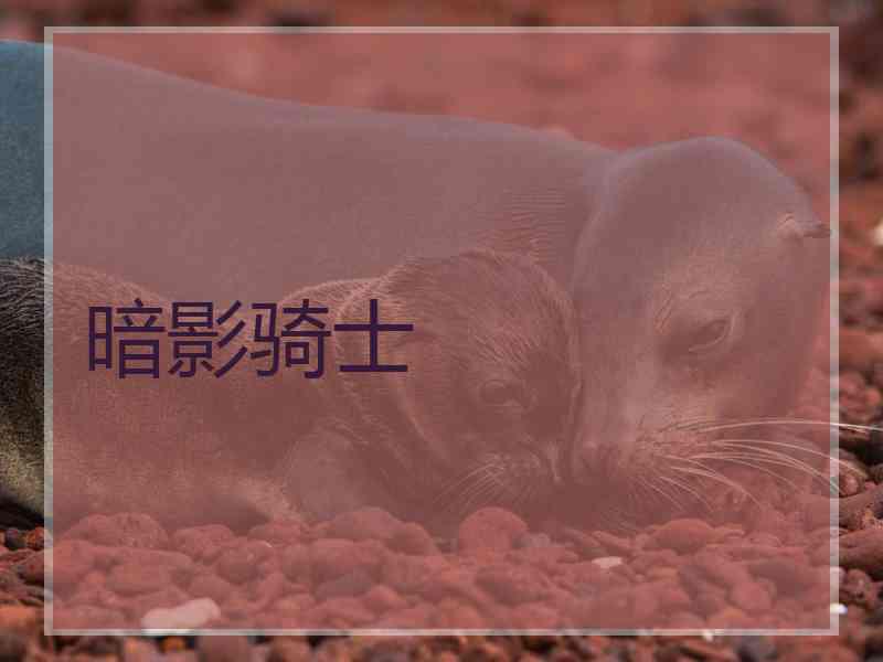 暗影骑士