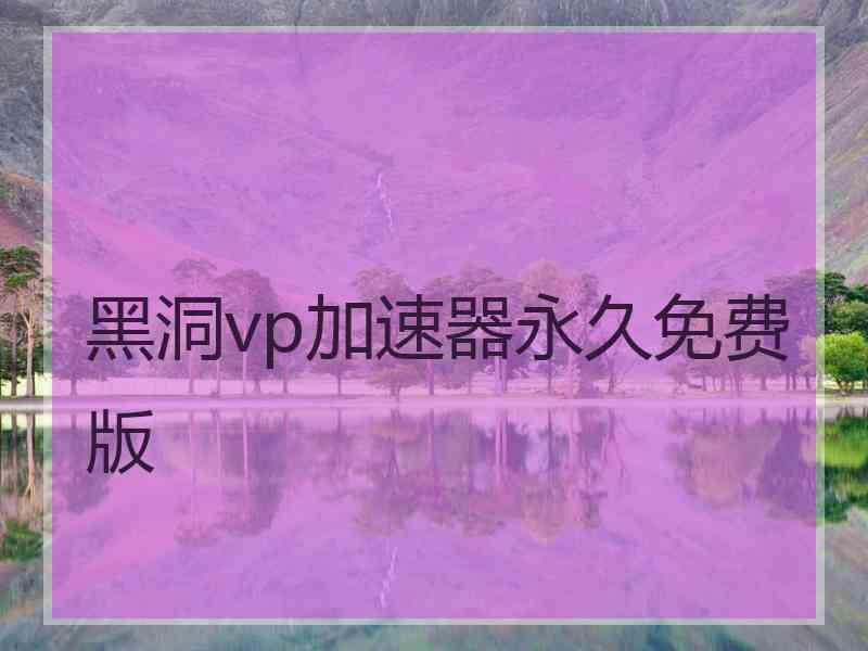 黑洞vp加速器永久免费版