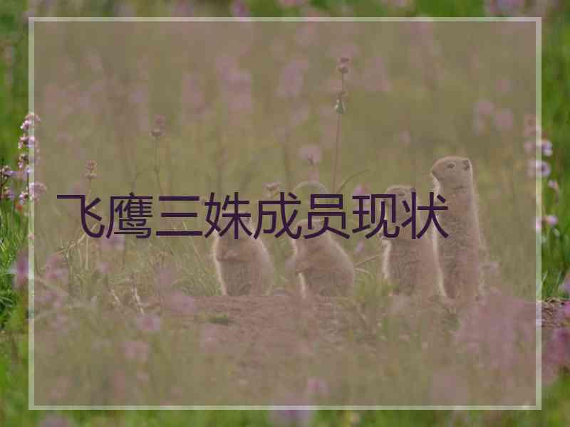 飞鹰三姝成员现状