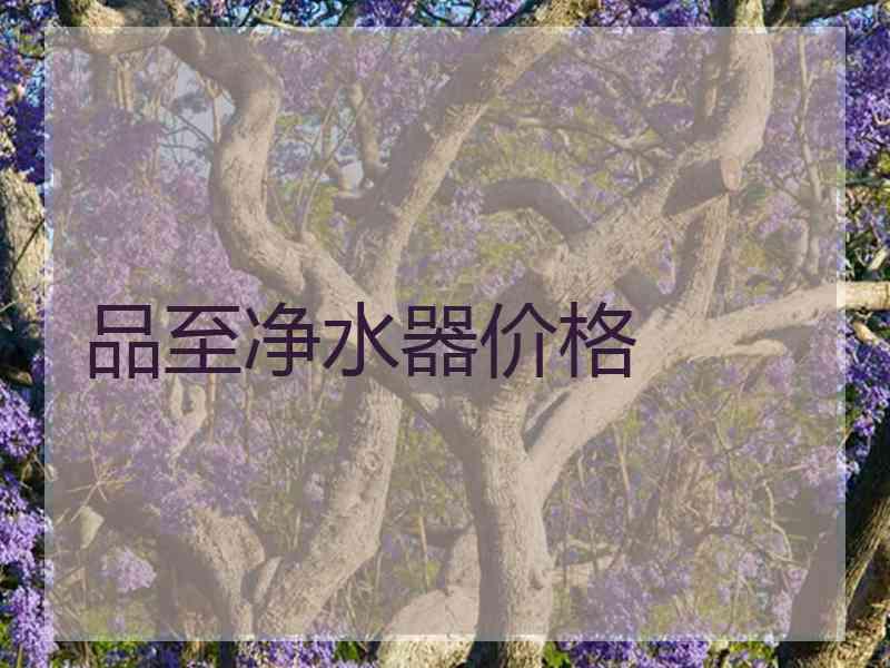 品至净水器价格