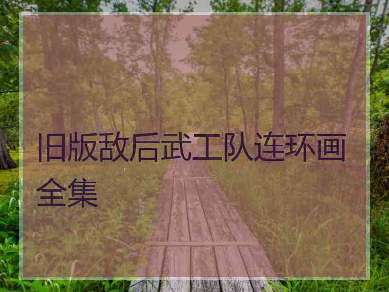 旧版敌后武工队连环画全集