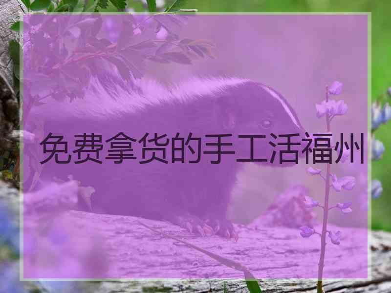免费拿货的手工活福州