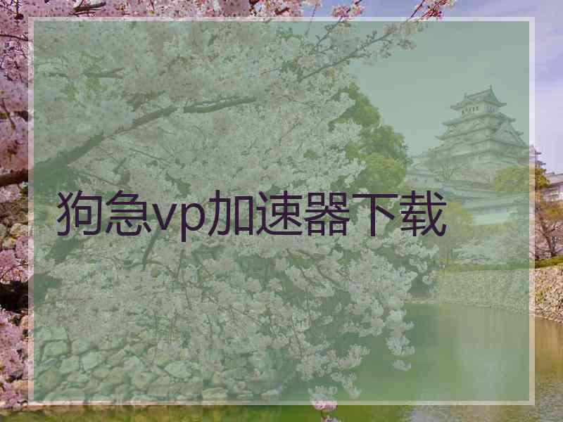 狗急vp加速器下载