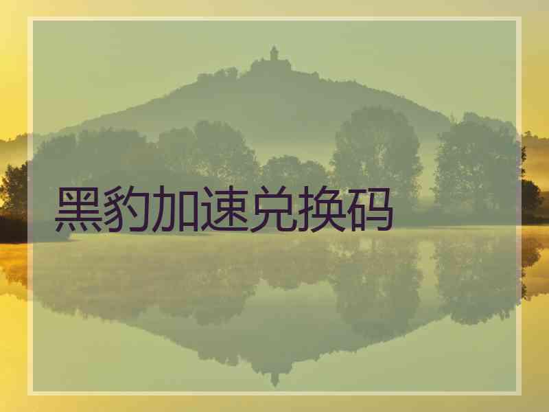 黑豹加速兑换码